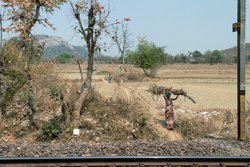 Jharkhand railway landscape